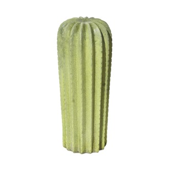 CACTUS 24049