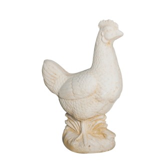 Poule GM