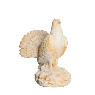Pigeon à la roue