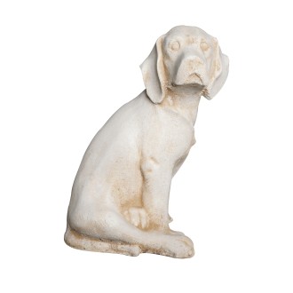 Chien épagneul ton vieilli
