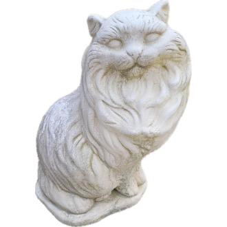 Chat à poil long ton vieilli