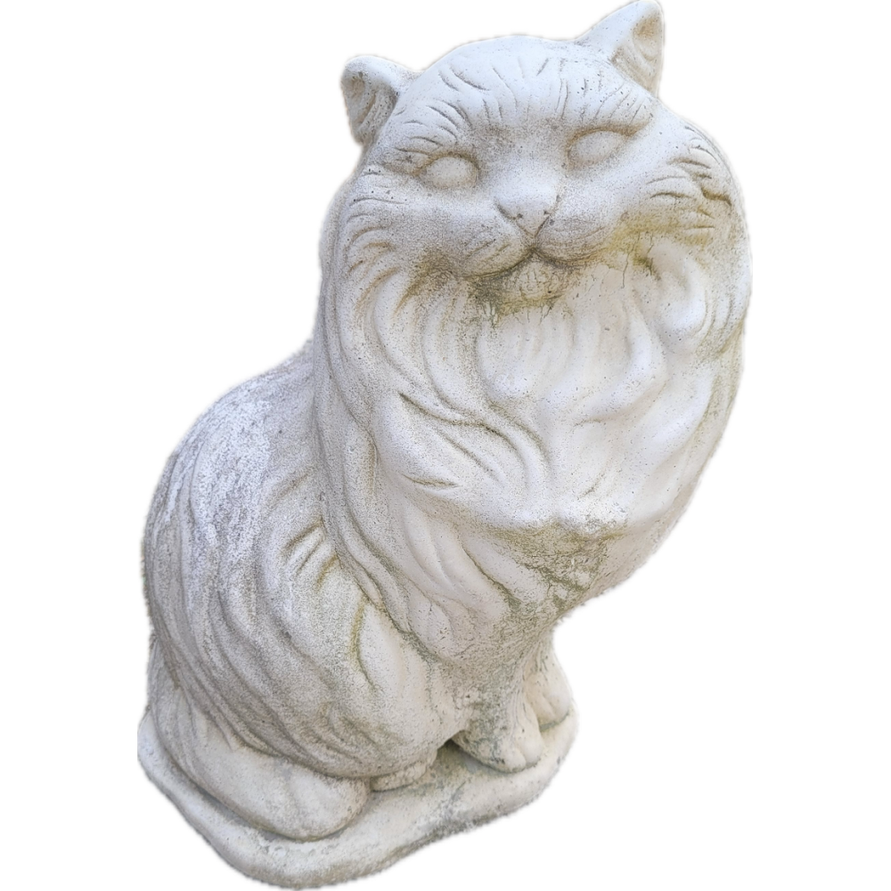 Chat à poil long ton vieilli