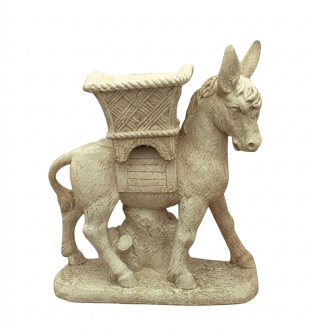 Ane au panier ton vieilli