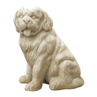 Chien des Pyrénées ton vieilli