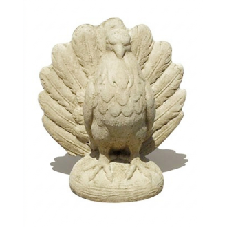 Pigeon majestueux ton vieilli