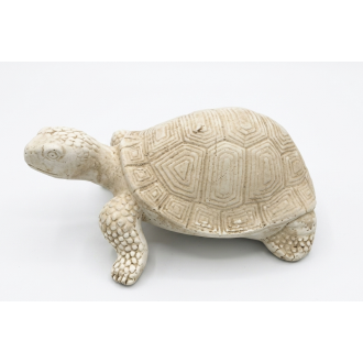 Tortue GM ton vieilli