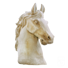 Buste de cheval - H 49cm