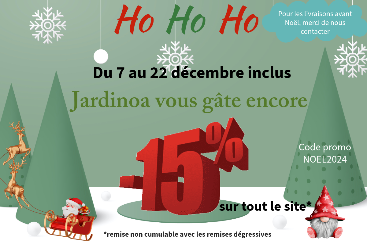 Promo Noël 2024