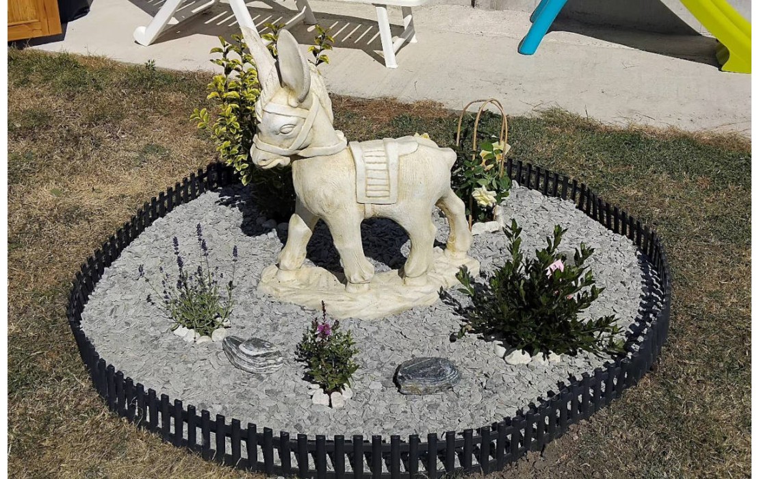 L'âne aux sacoches dans un jardin du Nord