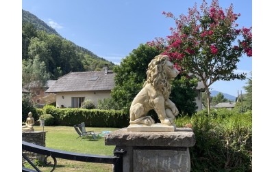 Un lion en Savoie